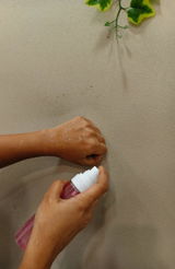 Srishti Joshi review photo