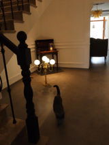 Marilia review photo