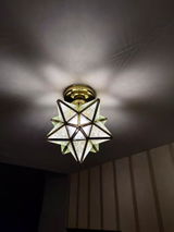 Alpa review photo