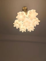 Rosanna review photo