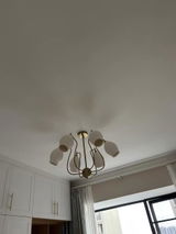 Liqing Guan review photo