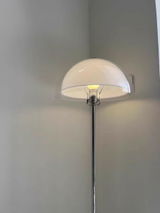Renuka Chavan review photo