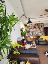 G. Drescher review photo