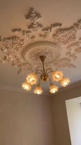 Rachel Williams review photo