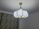 Savvidis Savvas review photo