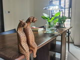 Nancy L. Cohen review photo