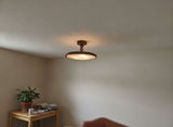 Carol Adams review photo