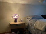 Theodore Evans review photo