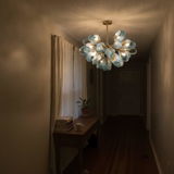 Nicholas Evans review photo