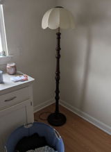 Luke Adams review photo