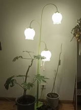 Mary review photo