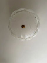 Meg review photo