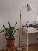 Jordan review photo