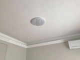 Wolson review photo
