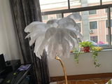 Michael S. review photo