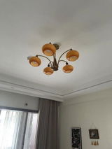 Christina Woytas review photo