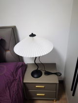 Ariel review photo
