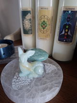 Lynn T. review photo