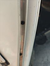 Daniel Walsh review photo