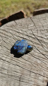 Labradoritt-skilpadde  (3cm)