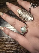 Jaclyn H review photo