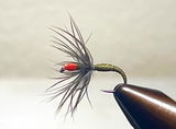 Christopher Kight - Northern California review photo