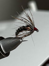 David Findley review photo