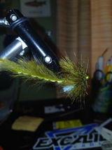 Chasse Lynch review photo