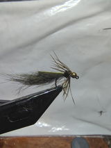 Robert Spangler review photo