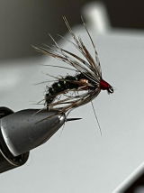 David Findley review photo