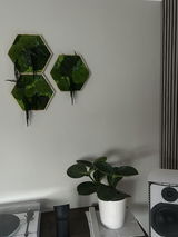 Ursula Henning review photo