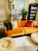 Lisa Toscano review photo