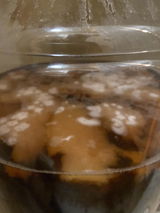Dawn Boggs-Fatten review photo