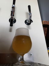 Matthew Parker review photo