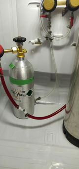 Damon Horner review photo