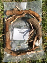 Paul Shanks review photo