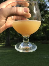 Ross Marcotte review photo