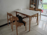 MH Living review photo