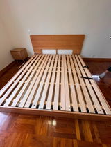mori home review photo