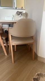 morihome review photo