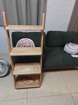 morihome review photo