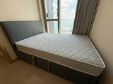 morihome review photo