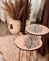Shazia Ahmed review photo