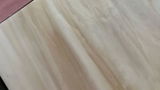 Gerrie review photo