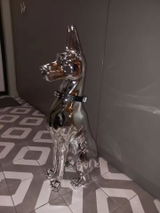 Dan review photo