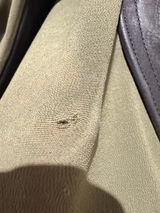 Anonymous review photo