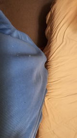 MARK SOULIER review photo