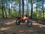 steve apperson review photo
