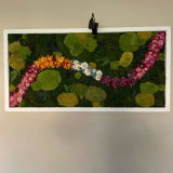 Rishi review photo