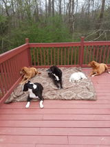 Popo Mama review photo